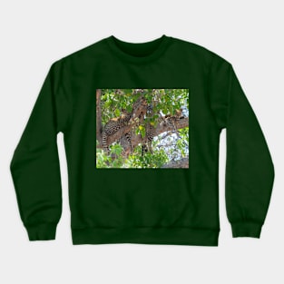 Two leopard cubs lounging in a tree Crewneck Sweatshirt